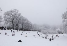 Winter hält Hamburg fest im Griff Zahlreiche Menschen sind mit Schlitten unterwegs und rodeln an einem kleinen Hang im tief verschneiten Jenischpark.