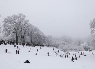 Winter hält Hamburg fest im Griff Zahlreiche Menschen sind mit Schlitten unterwegs und rodeln an einem kleinen Hang im tief verschneiten Jenischpark.