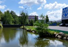 Das DESY auf dem Weg zu mehr Nachhaltigkeit Ein grüner Teich mit Pflanzen und kleinen Büschen an der Seite. Im Hintergrund sind Bäaume und Gebäude zu sehen. Rechts ist ein graues Gebäude zu sehen, auf dem Gebäude ist das Symbol vom DESY zu sehen.