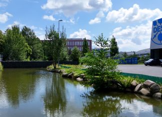 Das DESY auf dem Weg zu mehr Nachhaltigkeit Ein grüner Teich mit Pflanzen und kleinen Büschen an der Seite. Im Hintergrund sind Bäaume und Gebäude zu sehen. Rechts ist ein graues Gebäude zu sehen, auf dem Gebäude ist das Symbol vom DESY zu sehen.