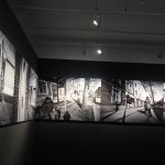 IMG_8304