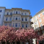 IMG_8807