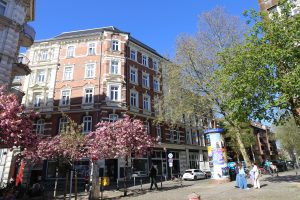 Hein-Köllisch-Platz auf St. Pauli. Ein rotes Gebäude, davor blühende Kirschbäume