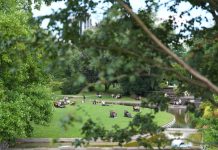Mozart für den Klimaschutz Eine Wiese im Hamburger Planten un Blomen, mehrere Menschen sitzen darauf, ein Ast verdeckt leicht das Bild. Planten un Blomen ist ein Veranstaltungsort des Mozart-Nature-Fest-2026.