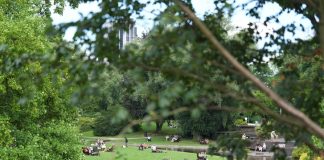 Mozart für den Klimaschutz Eine Wiese im Hamburger Planten un Blomen, mehrere Menschen sitzen darauf, ein Ast verdeckt leicht das Bild. Planten un Blomen ist ein Veranstaltungsort des Mozart-Nature-Fest-2026.