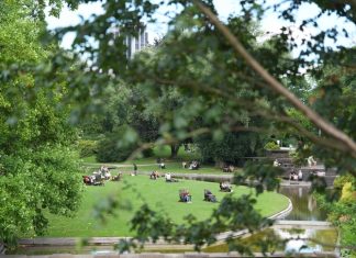 Mozart für den Klimaschutz Eine Wiese im Hamburger Planten un Blomen, mehrere Menschen sitzen darauf, ein Ast verdeckt leicht das Bild. Planten un Blomen ist ein Veranstaltungsort des Mozart-Nature-Fest-2026.