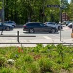 Entsiegelung am Behrmannplatz