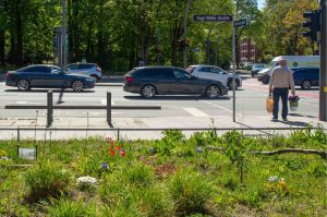 Vorne befindet sich eine entsiegelte Fläche am Behrmannplatz. Direkt nebenan sind sechs Autofahrstreifen zu sehen.
