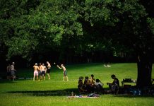 Hamburger Wetter: Von Rekordhitze zum Unwetter Hamburger suchen Zuflucht im Schatten eines Parks. Foto: Jonas Walzberg/dpa