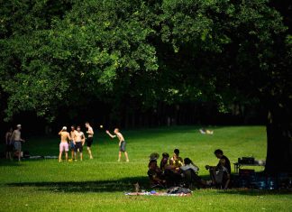 Hamburger Wetter: Von Rekordhitze zum Unwetter Hamburger suchen Zuflucht im Schatten eines Parks. Foto: Jonas Walzberg/dpa