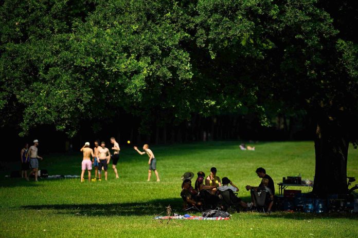 Hamburger suchen Zuflucht im Schatten eines Parks. Foto: Jonas Walzberg/dpa