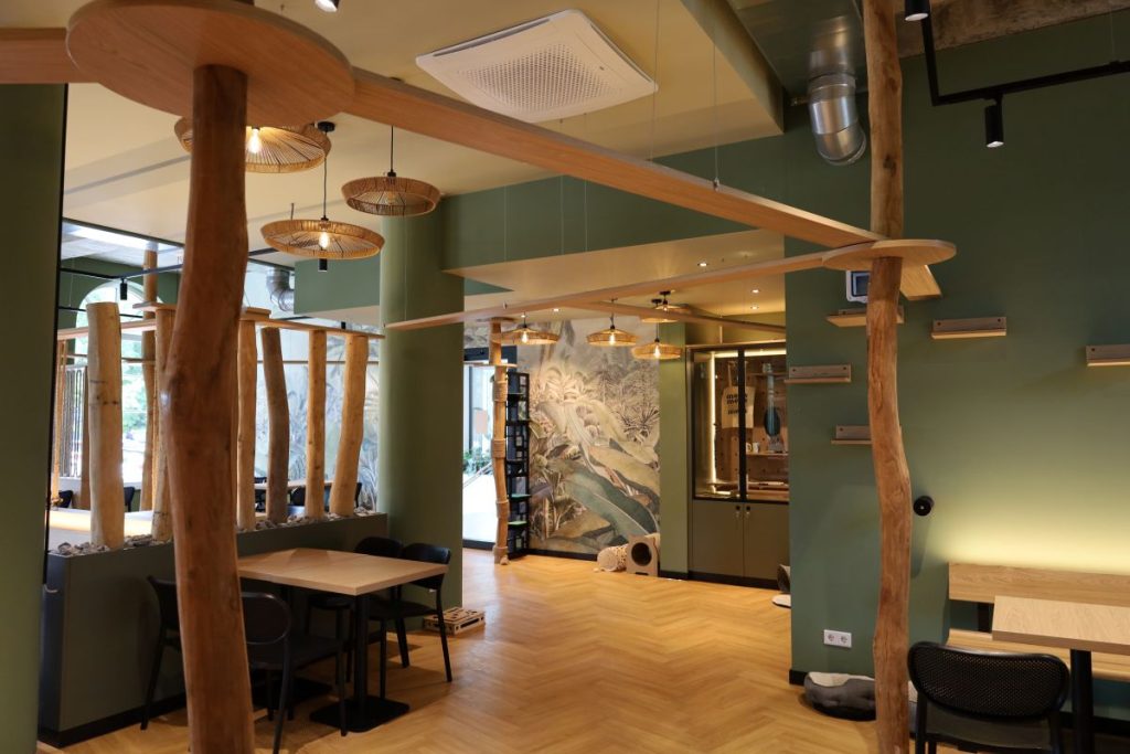 Das Interieur des Katzentempels am Holstenwall mit Catwalks, Tischen und Liegeflächen für die Katzen.