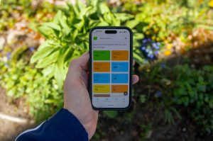Eine Hand hält ein Handy über einem Blumenbeet. Auf dem Handy ist die Website Natura DB geöffnet.