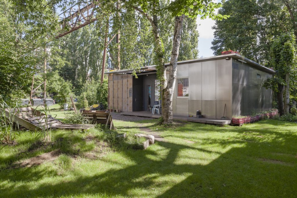 Auf einer Grünfläche steht eine Birke. Dahinter ist ein kleiner Bungalow zu sehen. Am Rand der Fläche wachsen Pflanzen in Pflanzkästen.