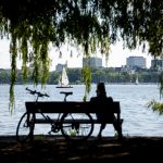 SPD und Grüne fordern ökologische Aufwertung der Außenalster Hamburg: Ein Mann sitzt im Schatten eines Baumes an der Außenalster auf einer Bank.