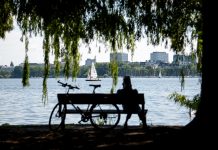 SPD und Grüne fordern ökologische Aufwertung der Außenalster Hamburg: Ein Mann sitzt im Schatten eines Baumes an der Außenalster auf einer Bank.