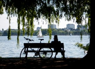 SPD und Grüne fordern ökologische Aufwertung der Außenalster Hamburg: Ein Mann sitzt im Schatten eines Baumes an der Außenalster auf einer Bank.