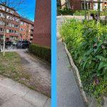Vorher Nachher Ecke Heckscherstraße_Wiesingerweg-2