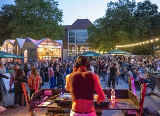 Altonale kämpft ums Überleben Ein DJ steht auf einer Bühne, mit dem Rücken zur Kamera. Im Hintergrund sieht man Lichterketten und tanzende Menschen. Auf der Altonale 2025.