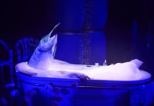 Kampnagel startet Live Art Festival Auf einer Bühne steht eine Badewanne, in der eine Person mit einem Fischkopf-Kostüm sitzt. Die Szene wird von blauem Licht beleuchtet, wodurch eine surreale und geheimnisvolle Atmosphäre entsteht.