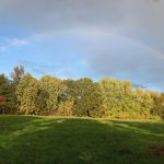 Das Niendorfer Gehege: Hamburgs Klimaanlage Eine grüne Wiese, im Hintergrund Bäume mit gelben und grünen Blättern. Im Himmel über der Landschaft ist ein heller Regenbogen vor dunklen Wolken zu sehen.