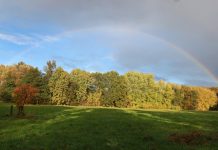Das Niendorfer Gehege: Hamburgs Klimaanlage Eine grüne Wiese, im Hintergrund Bäume mit gelben und grünen Blättern. Im Himmel über der Landschaft ist ein heller Regenbogen vor dunklen Wolken zu sehen.