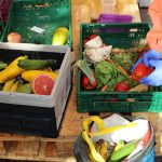 „Das Ziel von Foodsharing ist, uns wieder abzuschaffen” Auf dem Bild sieht man Hände in Gummihandschuhen, die Obst und Gemüse sortieren. Lebensmittel, die noch gut sind, kommen in Tüten.