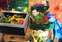„Das Ziel von Foodsharing ist, uns wieder abzuschaffen” Auf dem Bild sieht man Hände in Gummihandschuhen, die Obst und Gemüse sortieren. Lebensmittel, die noch gut sind, kommen in Tüten.
