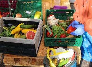 „Das Ziel von Foodsharing ist, uns wieder abzuschaffen” Auf dem Bild sieht man Hände in Gummihandschuhen, die Obst und Gemüse sortieren. Lebensmittel, die noch gut sind, kommen in Tüten.