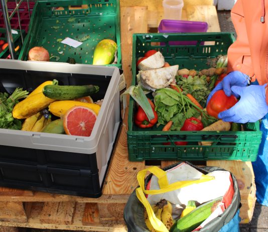 „Das Ziel von Foodsharing ist, uns wieder abzuschaffen” Auf dem Bild sieht man Hände in Gummihandschuhen, die Obst und Gemüse sortieren. Lebensmittel, die noch gut sind, kommen in Tüten.