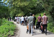 “Walking Dads” – und andere Angebote für Väter in Hamburg Das Foto zeigt eine Gruppe von Männern von hinten, die in einem Park spazieren. Alle Männer haben Kinderwagen dabei.