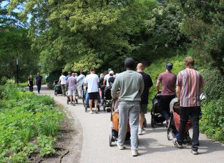 “Walking Dads” – und andere Angebote für Väter in Hamburg Das Foto zeigt eine Gruppe von Männern von hinten, die in einem Park spazieren. Alle Männer haben Kinderwagen dabei.
