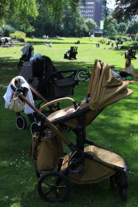 Das Bild zeigt einen Kinderwagen im Park auf einer Wiese.