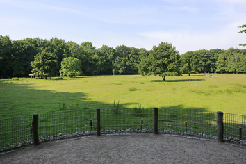 Eine satte, grüne Wiese, die von einem Zaun abgetrennt ist vom Kiesweg. Im Hintergrund stehen üppige Bäume.