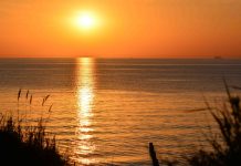 Nord- und Ostsee: Meeresoberfläche hat sich im Juni schnell erwärmt Blick auf die Ostsee. Aufgehende Sonne über dem Horrizont. Schattige Gräser im Vordergrund.