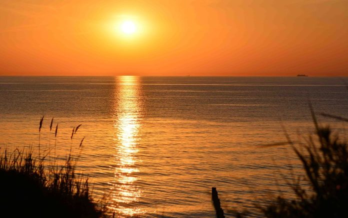 Blick auf die Ostsee. Aufgehende Sonne über dem Horrizont. Schattige Gräser im Vordergrund.