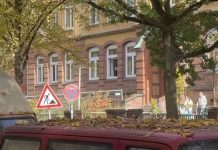 Schülerproteste nach französischem Vorbild Die Max-Brauer-Schule im Herbst. Foto: Mara Mennekes