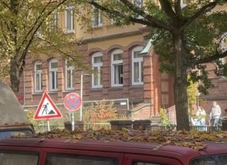 Schülerproteste nach französischem Vorbild Die Max-Brauer-Schule im Herbst. Foto: Mara Mennekes