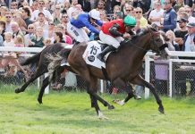 Projekt Pferderennbahn: Bleibt das Galopp-Derby in Hamburg? Pferderennen auf der Horner Rennbahn