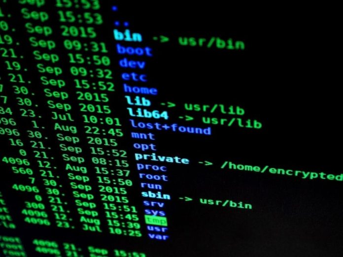 IT-Sicherheit wird immer wichtiger an Hamburger Hochschulen. Foto: pixabay Auf einem schwarzen Bildschirm steht grüne und blaue Schrift. IT-Sicherheit wird immer wichtiger an Hamburger Hochschulen.
